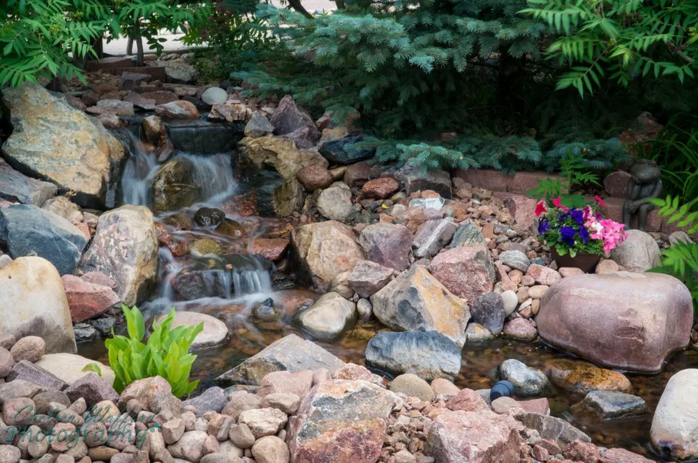 Professional landscape design for year-round maintenance across Colorado Springs, CO - Purely Ponds & Waterfalls