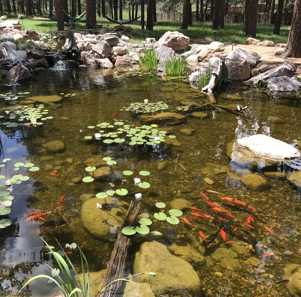 Affordable yard cleanup service for homes in Colorado Springs, CO by Purely Ponds & Waterfalls