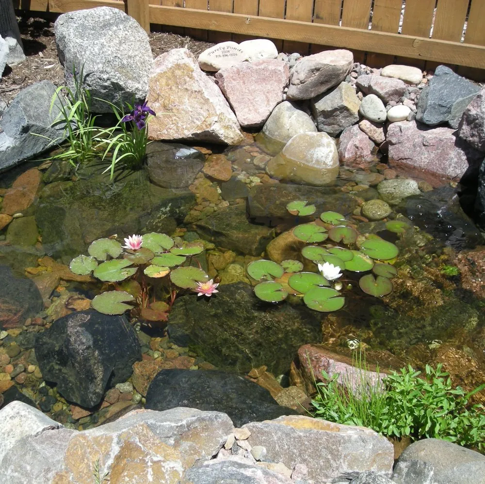 Top-rated landscape design in Colorado Springs, CO - Purely Ponds & Waterfalls