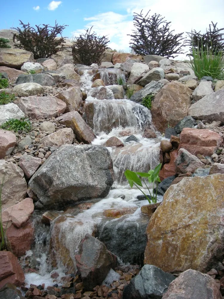 Expert lawn care service with custom design across Colorado Springs, CO - Purely Ponds & Waterfalls