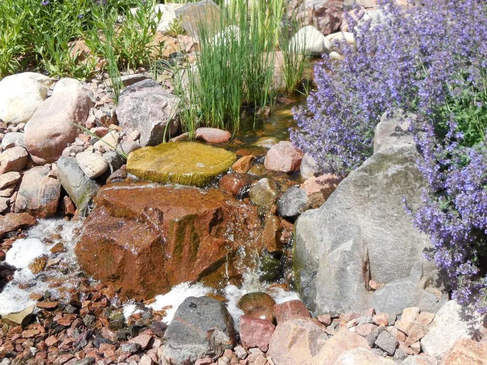 Trusted yard cleanup service with custom design in Colorado Springs, CO by Purely Ponds & Waterfalls
