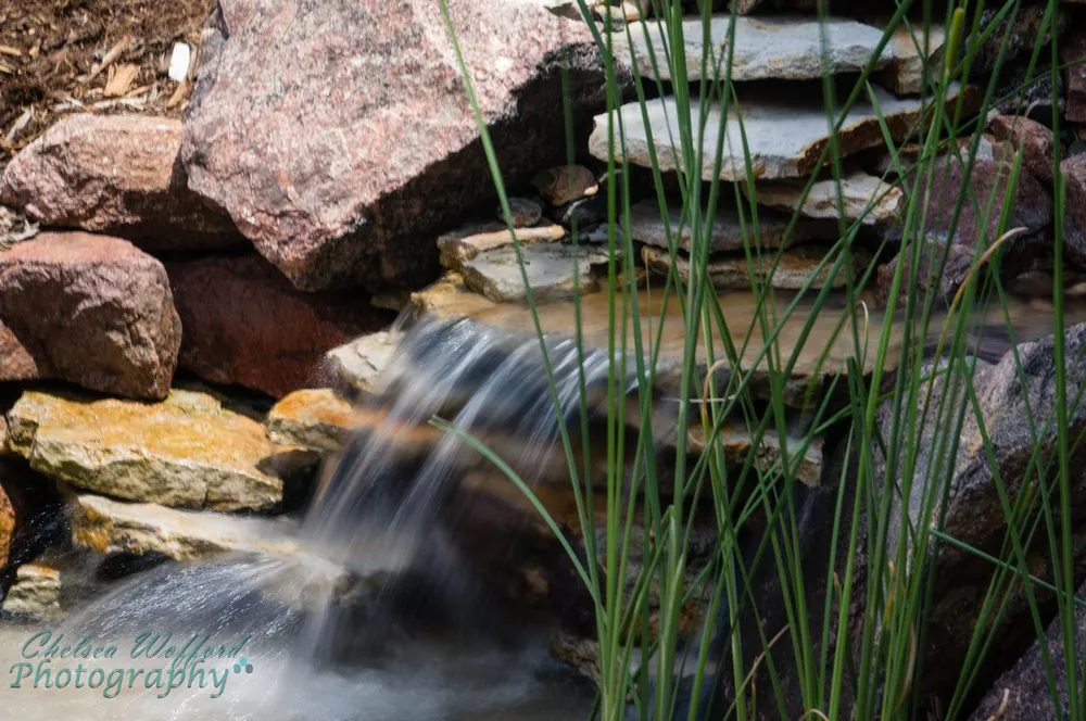 Affordable landscaping services in Colorado Springs, CO - Purely Ponds & Waterfalls