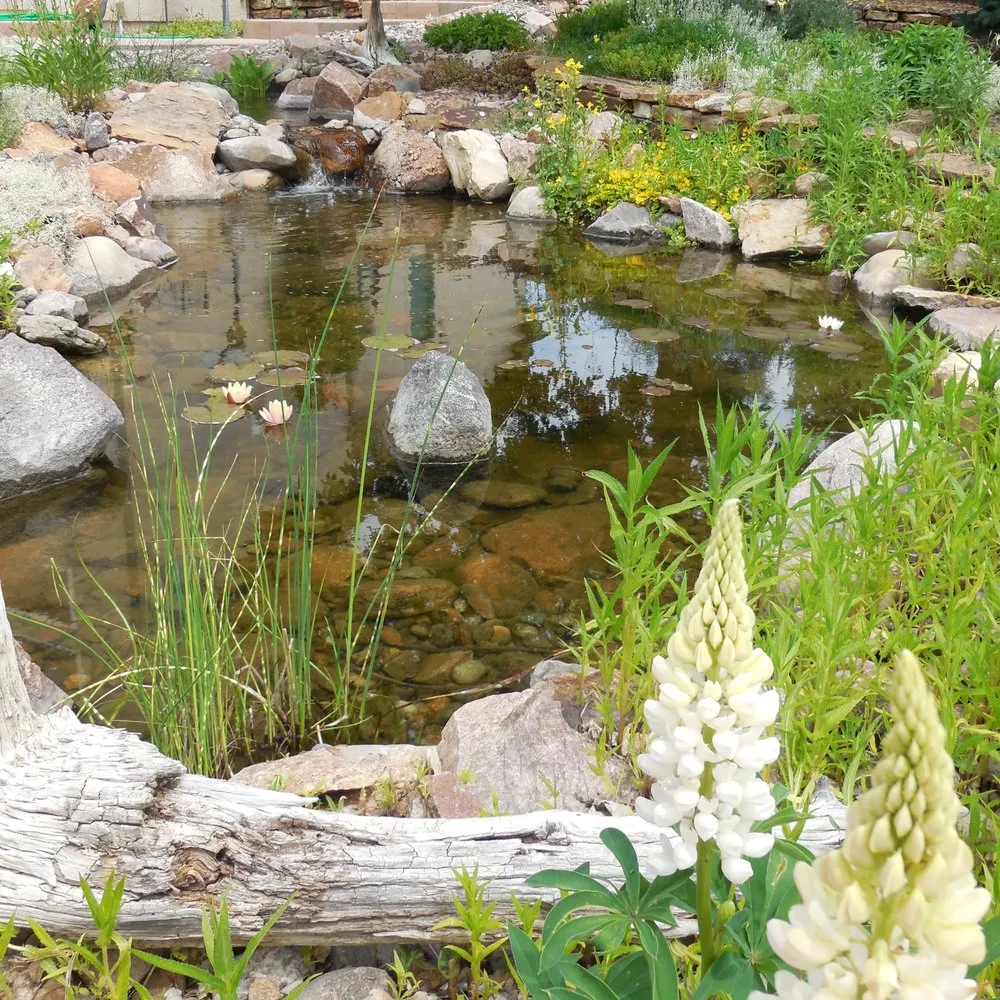 Top-rated landscape installation for year-round maintenance in Colorado Springs, CO by Purely Ponds & Waterfalls