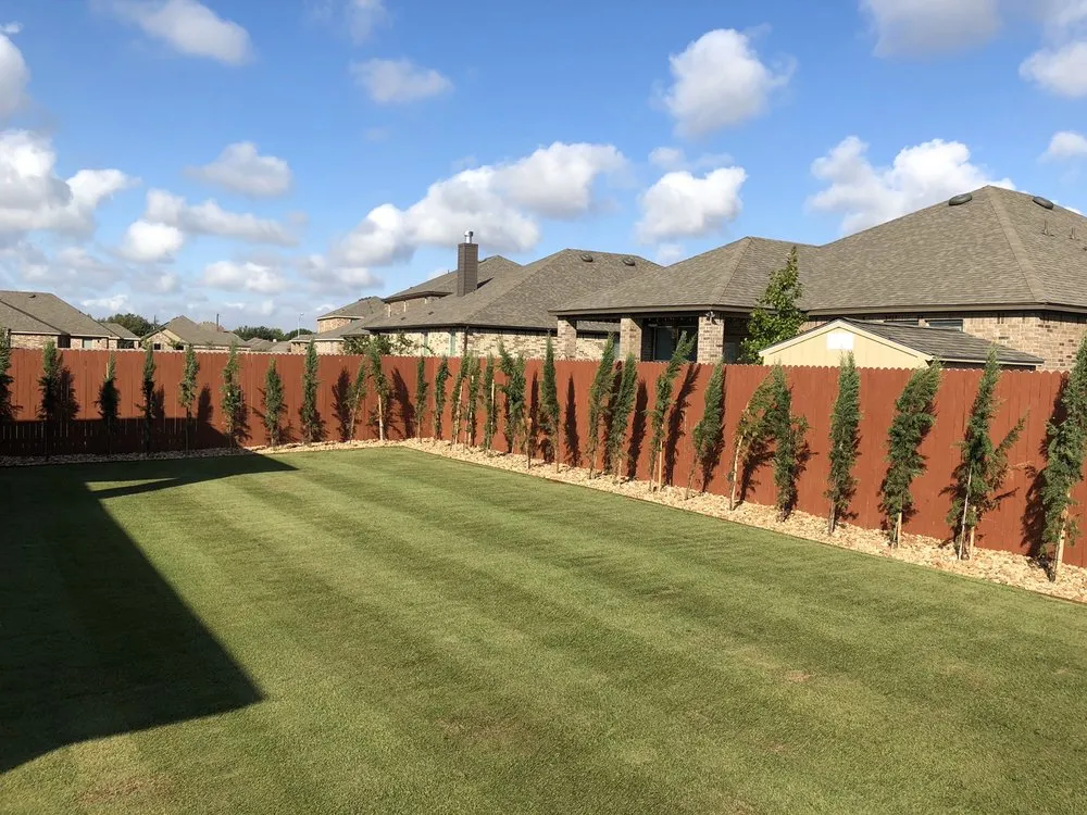 Top-rated yard maintenance in Taylor, TX - Purescapes