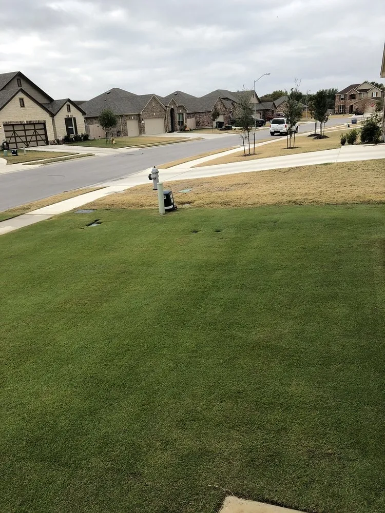 Top-rated residential landscaping in Taylor, TX - Purescapes