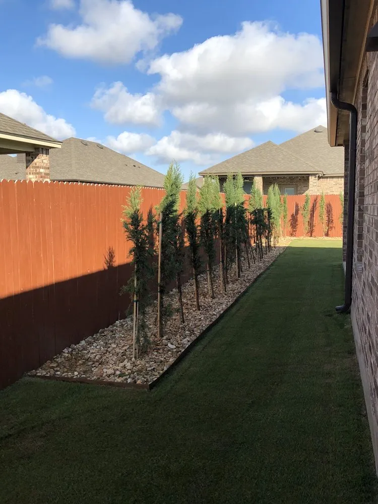 Reliable landscape design with custom design across Taylor, TX - Purescapes