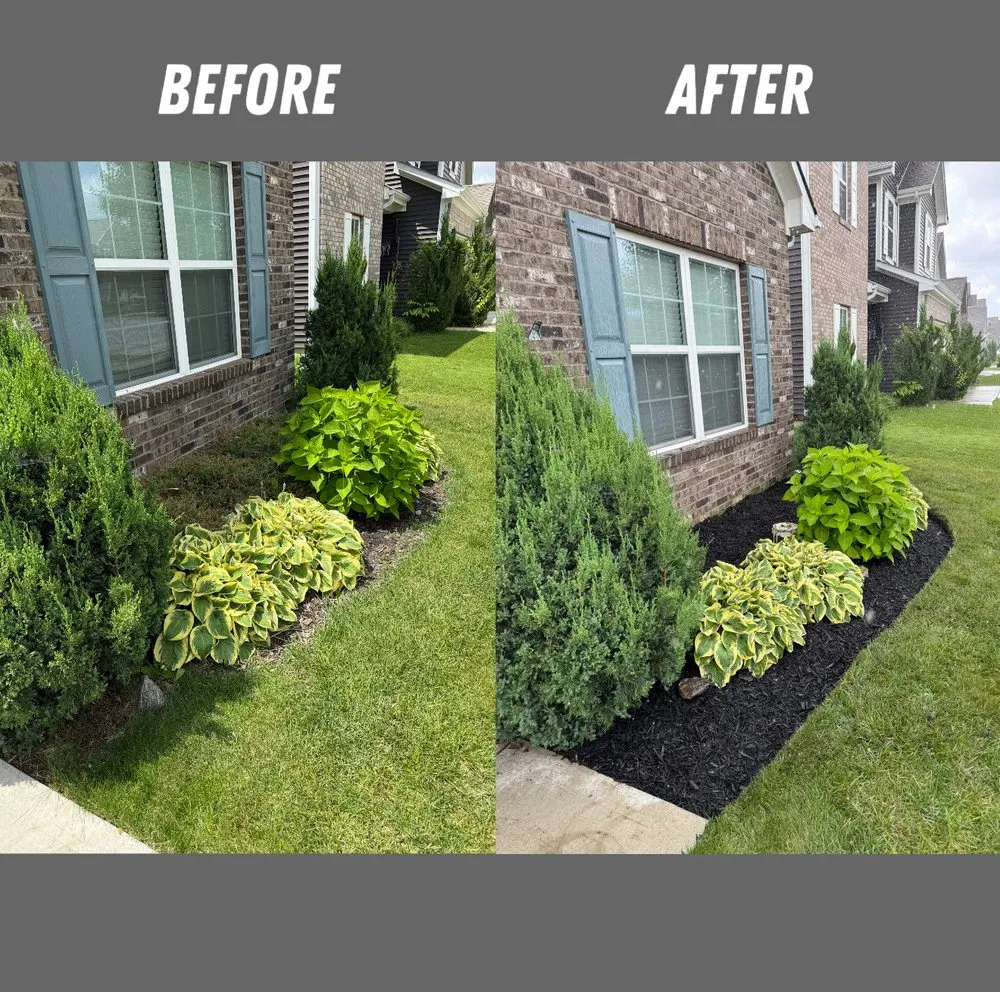 Trusted lawn care service in Westfield, IN by Pureshine Home Services