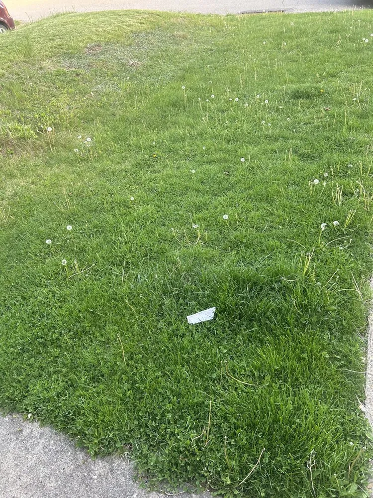 Reliable landscape installation for residential properties across West Mifflin, PA - PureTouch Cleaning Solutions