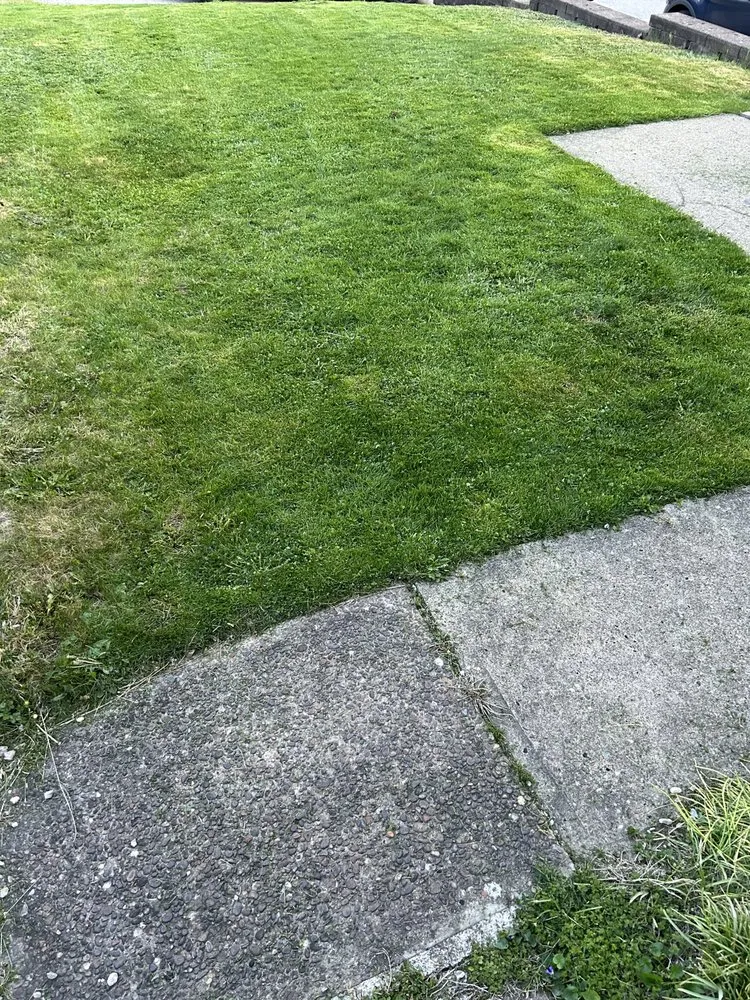 Top-rated lawn mowing service for beautiful yards in West Mifflin, PA by PureTouch Cleaning Solutions