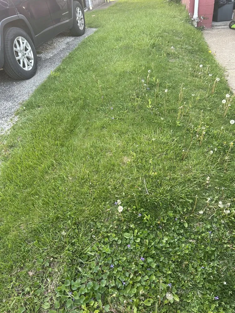 Custom yard maintenance in West Mifflin, PA - PureTouch Cleaning Solutions