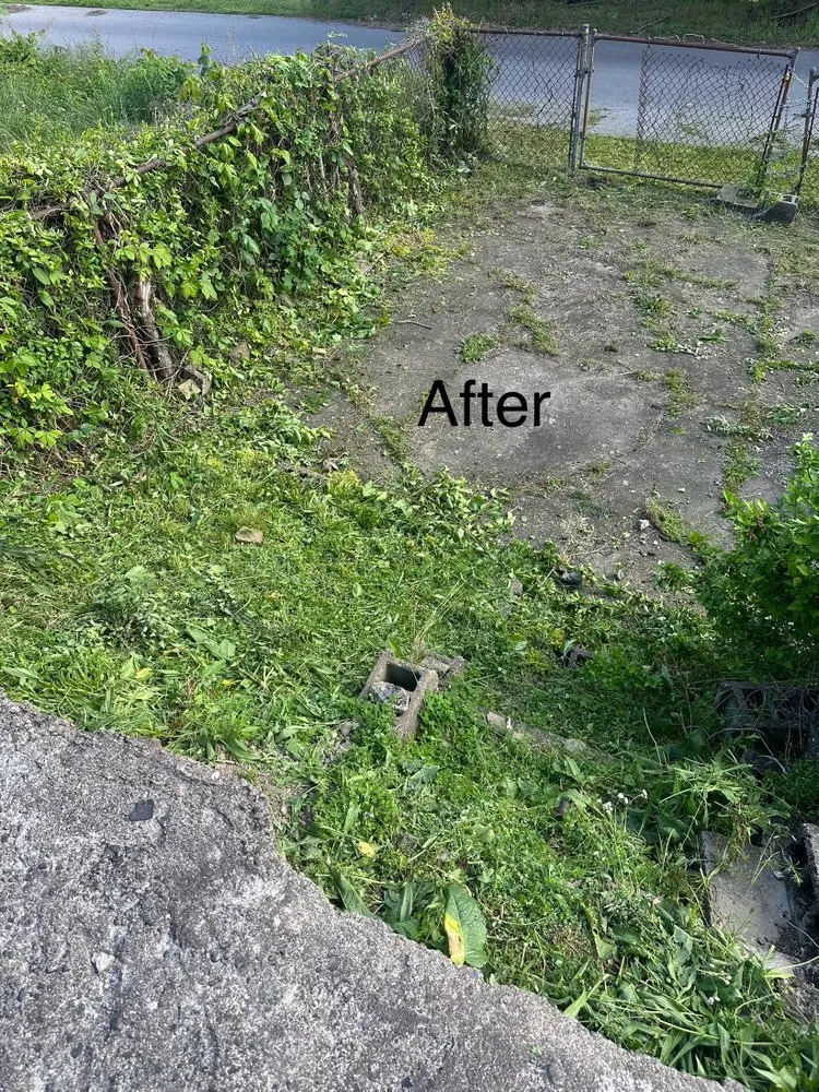 Trusted landscape design experts serving West Mifflin, PA - PureTouch Cleaning Solutions