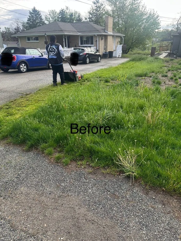 Professional residential landscaping for residential properties across West Mifflin, PA - PureTouch Cleaning Solutions