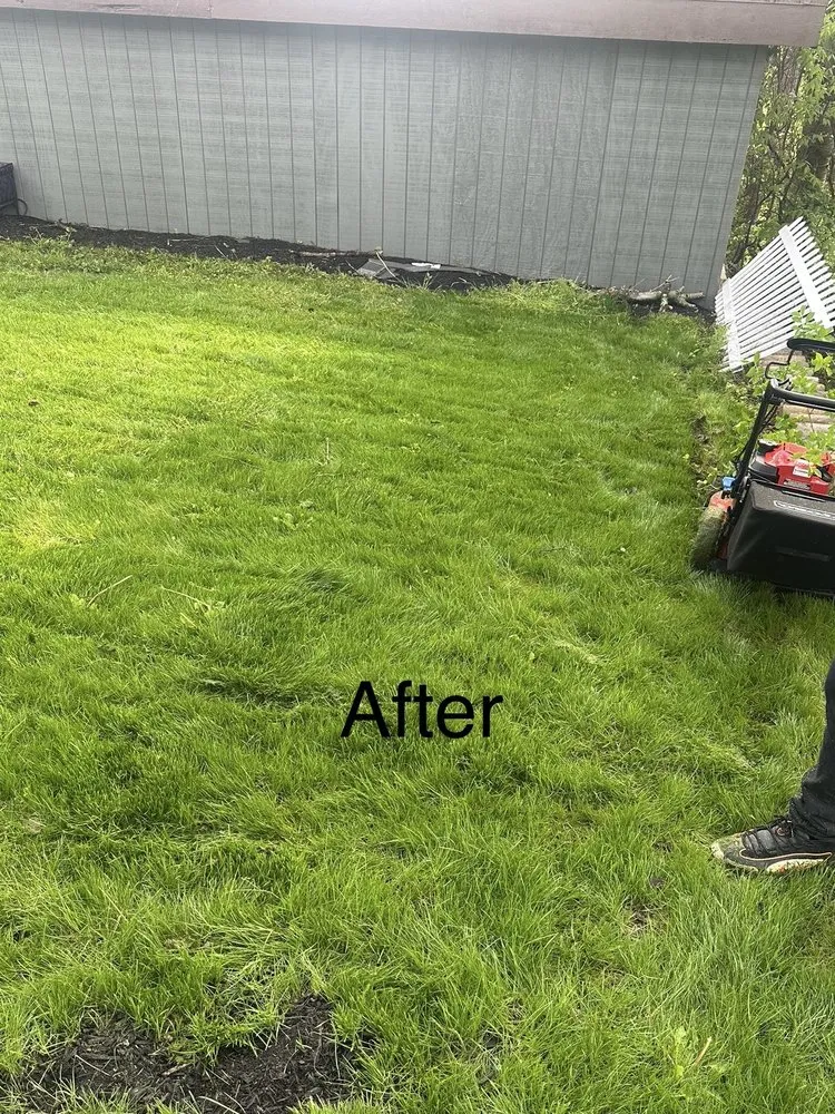 Local landscaping services experts serving West Mifflin, PA - PureTouch Cleaning Solutions