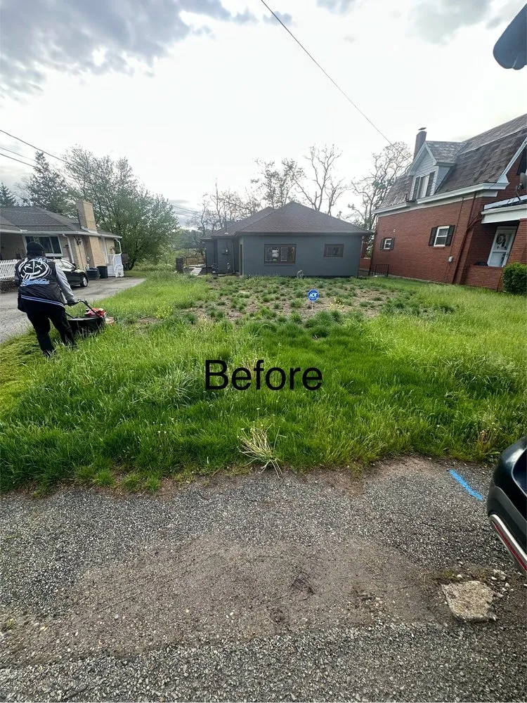 Local yard cleanup service for year-round maintenance in West Mifflin, PA by PureTouch Cleaning Solutions