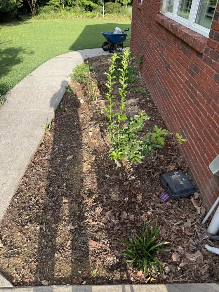 Local lawn care service in Tunnel Hill, GA by PureVista Indoor and Outdoor Services