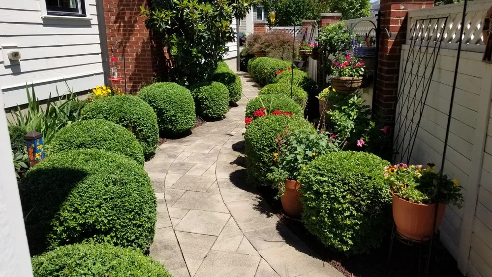 Trusted yard cleanup service for year-round maintenance in Crestwood, KY by PurGreen Landscapes