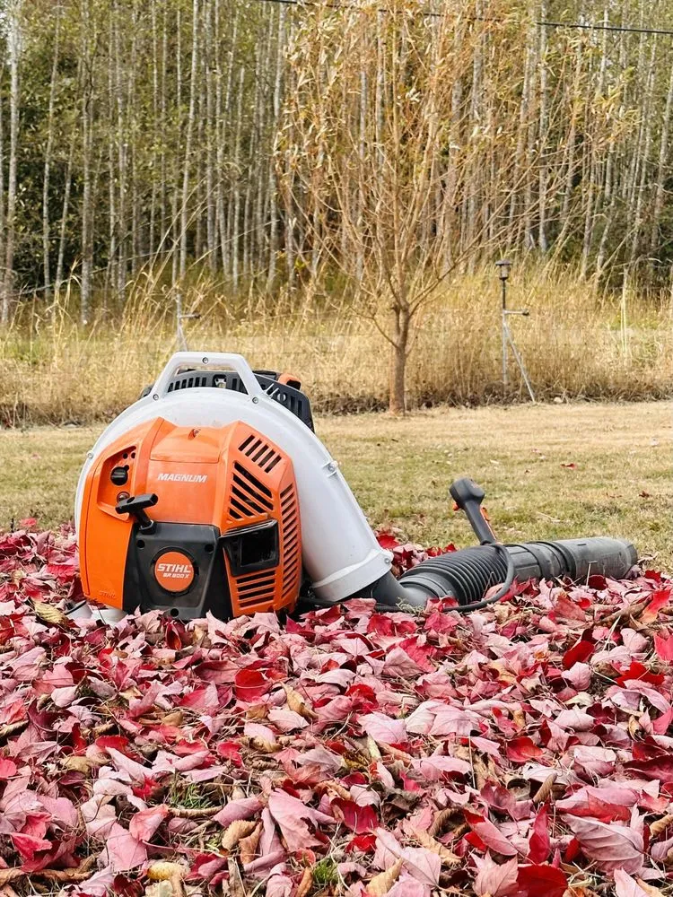 Trusted outdoor landscaping in Blaine, WA - Purity Lawns