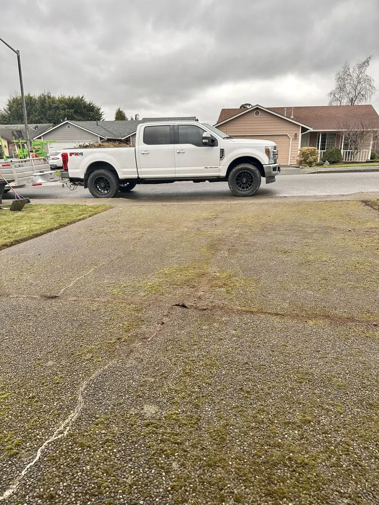 Affordable yard cleanup service experts serving Blaine, WA - Purity Lawns