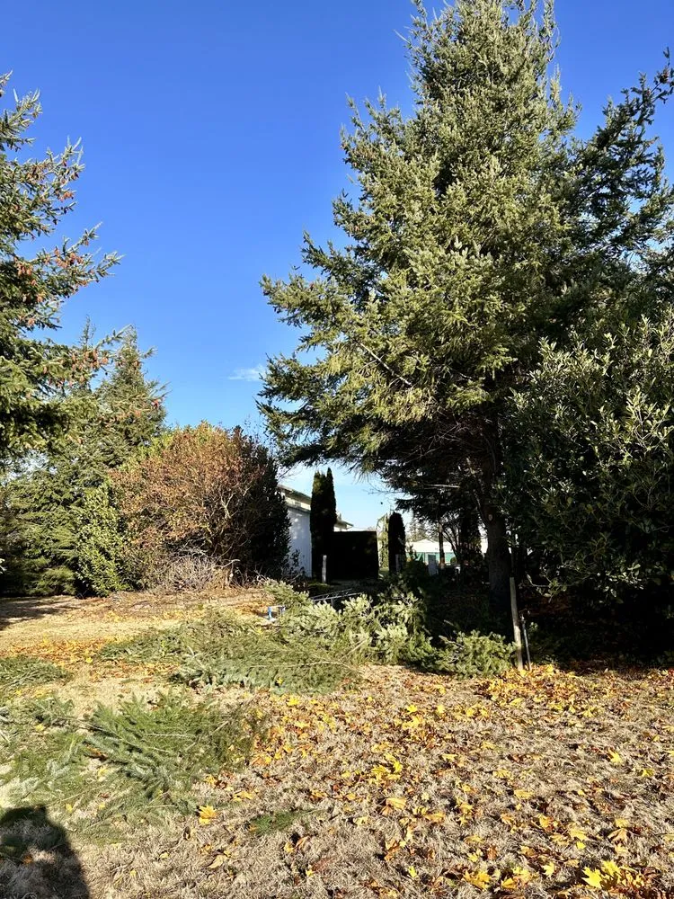 Trusted landscape design experts serving Blaine, WA - Purity Lawns