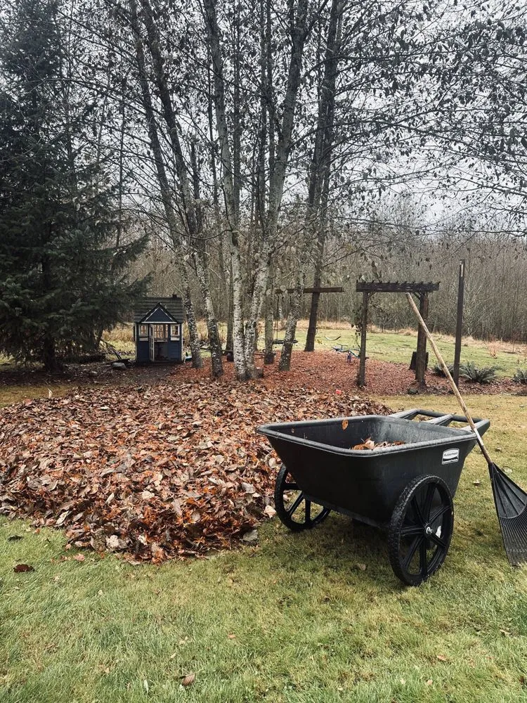Expert landscaping services in Blaine, WA by Purity Lawns