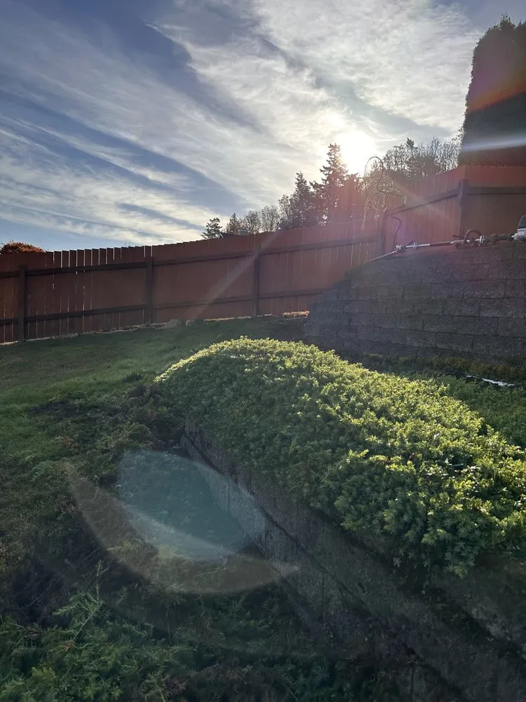 Professional landscape design experts serving Blaine, WA - Purity Lawns