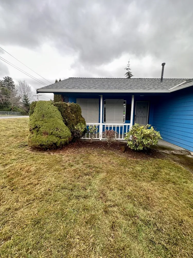 Custom yard cleanup service for year-round maintenance in Blaine, WA by Purity Lawns