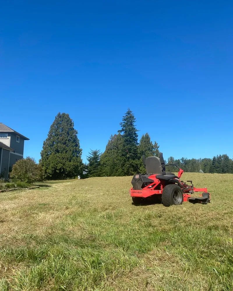 Professional landscape installation in Blaine, WA by Purity Lawns