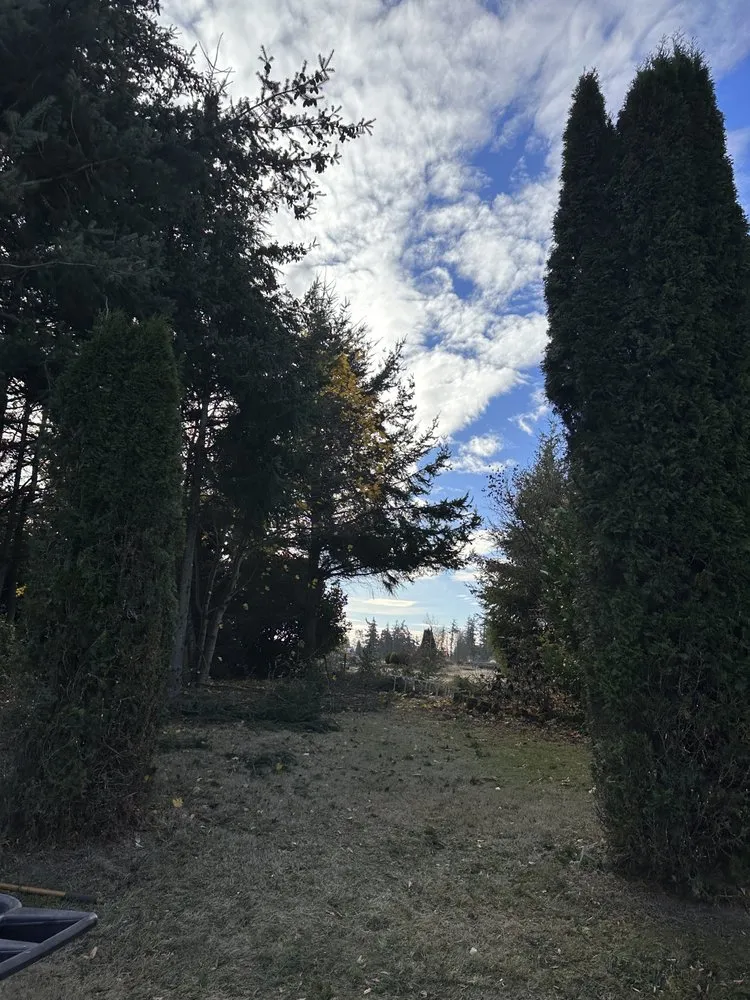 Professional residential landscaping experts serving Blaine, WA - Purity Lawns