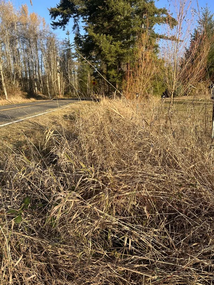 Top-rated yard maintenance with custom design in Blaine, WA by Purity Lawns