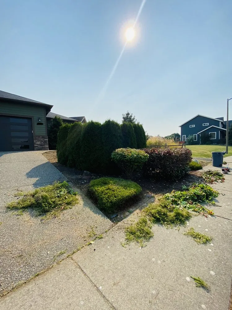 Reliable residential landscaping near you in Blaine, WA by Purity Lawns