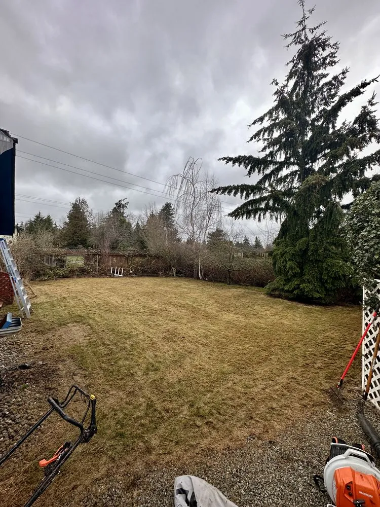 Trusted yard maintenance in Blaine, WA - Purity Lawns