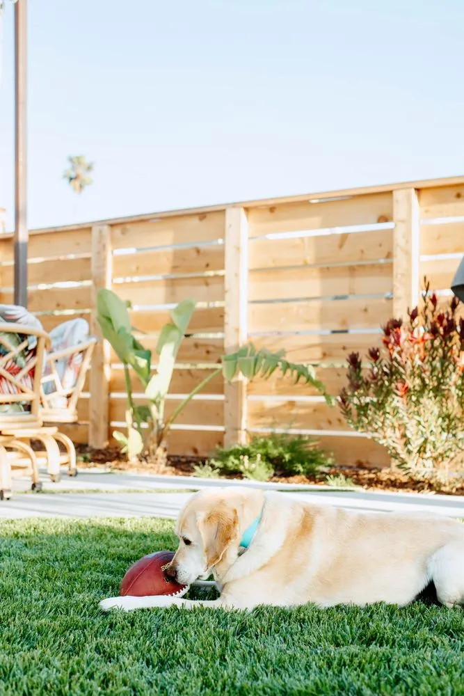 Local outdoor landscaping experts serving San Luis Obispo, CA - Purlieu Landscapes