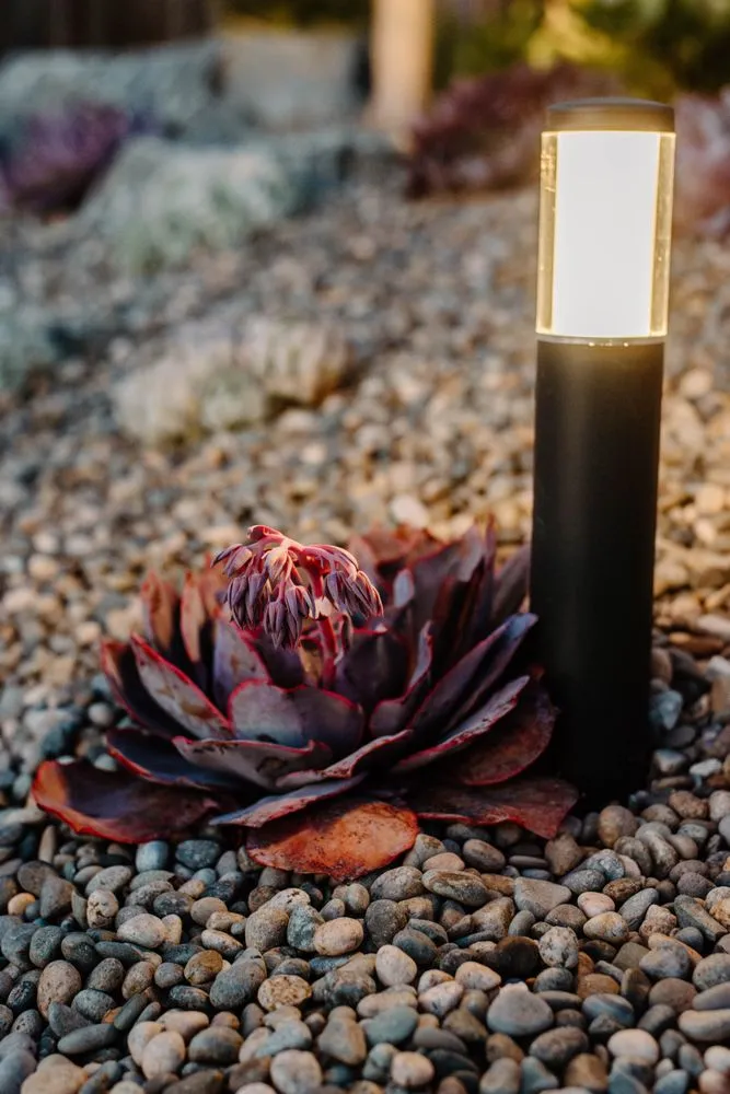 Trusted residential landscaping experts serving San Luis Obispo, CA - Purlieu Landscapes