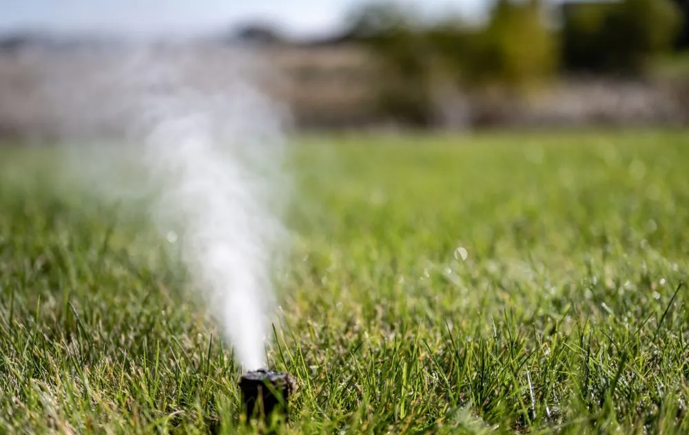 Local yard maintenance in Fort Worth, TX - Purple Care - Lawn Care & Pest Control Fort Worth