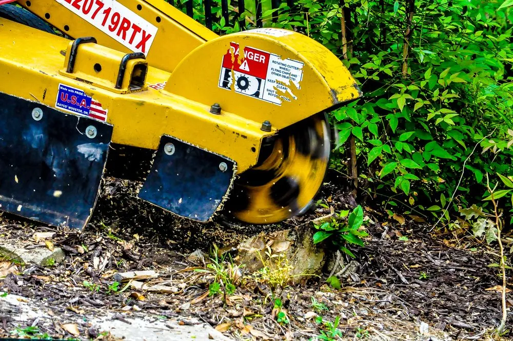 Custom outdoor landscaping for homes across Fort Worth, TX - Purple Care - Lawn Care & Pest Control Fort Worth