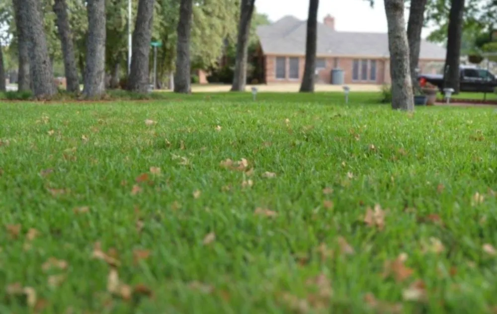 Custom lawn mowing service in Fort Worth, TX - Purple Care - Lawn Care & Pest Control Fort Worth