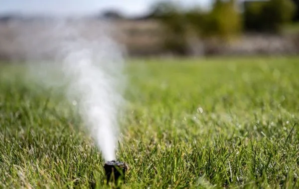 Purple Care - Lawn Care & Pest Control Fort Worth Logo