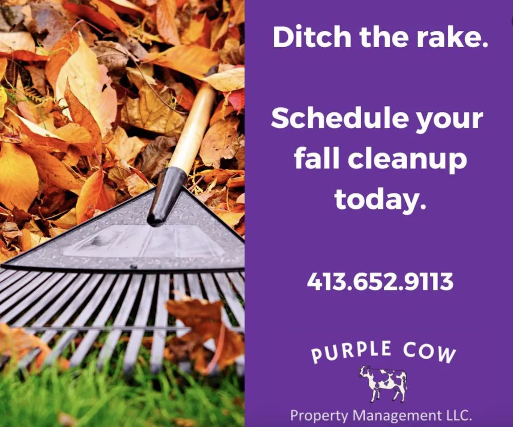 Trusted outdoor landscaping experts serving North Adams, MA - Purple Cow Property Management