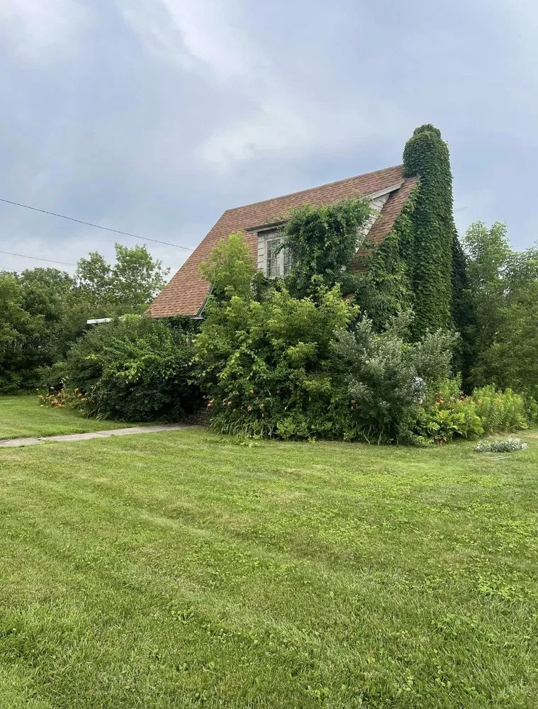 Local landscape installation for beautiful yards in North Adams, MA by Purple Cow Property Management