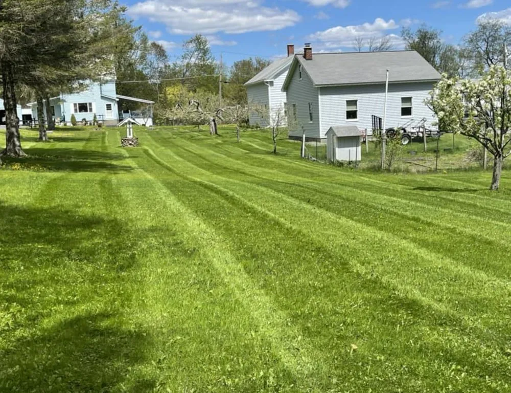 Professional landscape installation for beautiful yards in North Adams, MA by Purple Cow Property Management