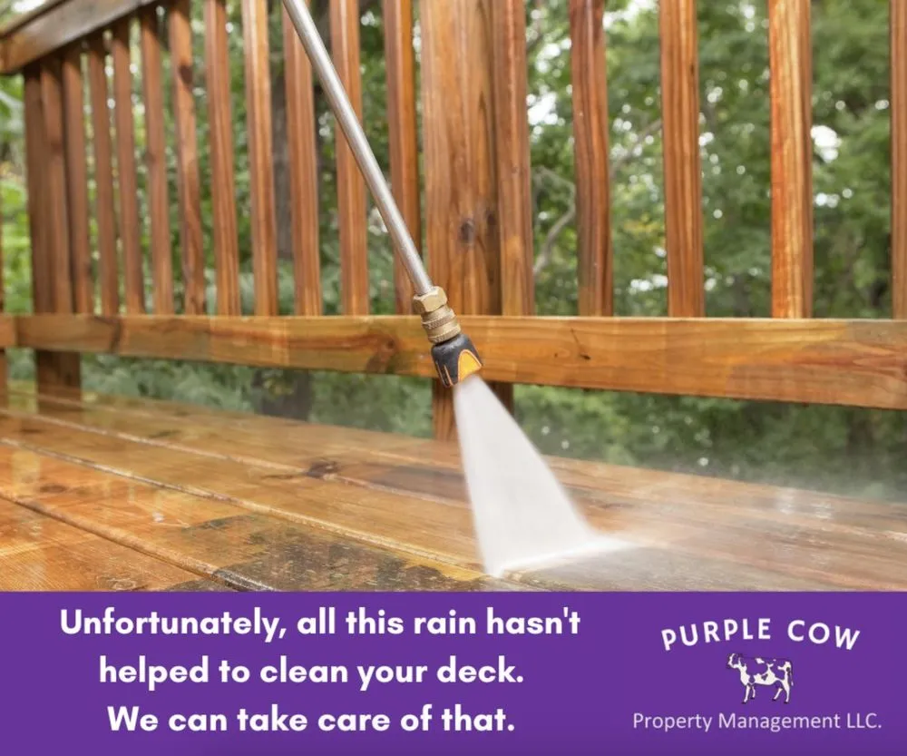 Trusted outdoor landscaping experts serving North Adams, MA - Purple Cow Property Management