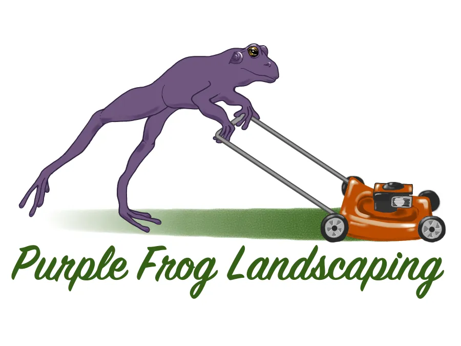 Local landscape installation in Amherst, NY by Purple Frog Landscaping