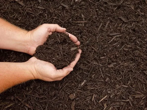 Top-rated landscape design in LA Grange, NC by Purple Heart Lawn Care & Pressure Washing