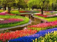 Professional lawn care service near you across LA Grange, NC - Purple Heart Lawn Care & Pressure Washing