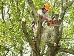 Top-rated lawn mowing service in LA Grange, NC by Purple Heart Lawn Care & Pressure Washing