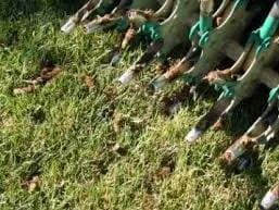 Local yard cleanup service experts serving LA Grange, NC - Purple Heart Lawn Care & Pressure Washing