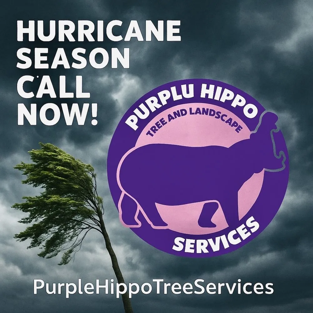 Trusted yard maintenance for outdoor upgrades in Ocoee, FL by Purple Hippo Tree and Landscape Services