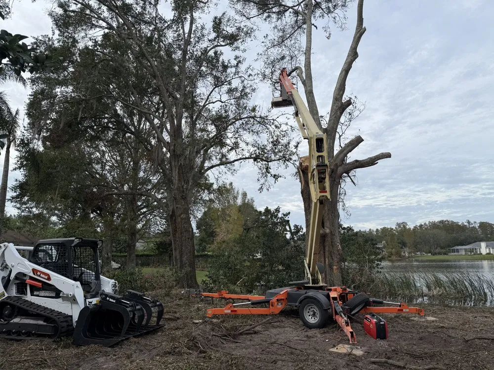 Custom garden landscaping for year-round maintenance in Ocoee, FL by Purple Hippo Tree and Landscape Services