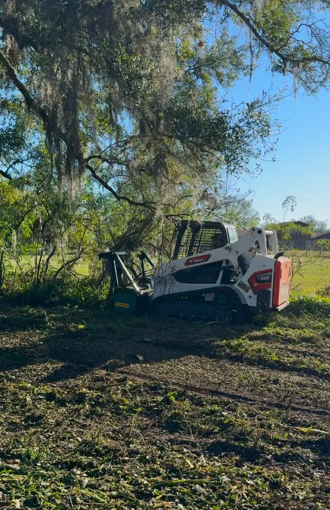 Local garden landscaping near you across Ocoee, FL - Purple Hippo Tree and Landscape Services