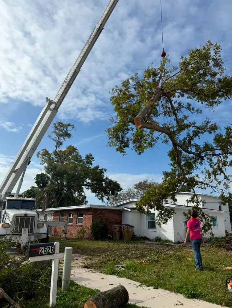 Professional lawn care service in Ocoee, FL - Purple Hippo Tree and Landscape Services